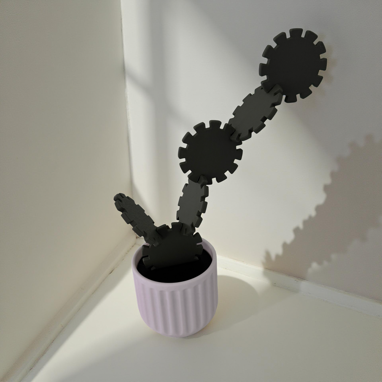 3D Printed Cactus-Themed Coasters (Set of 6)