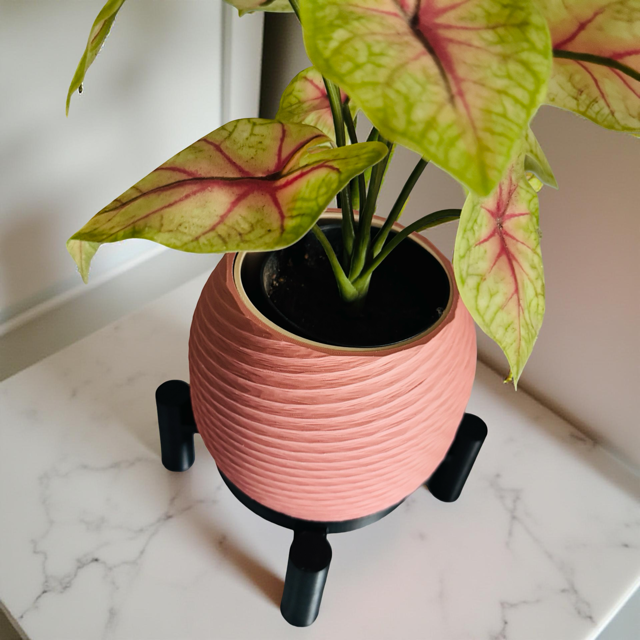 Terracotta Planter with Black Stand