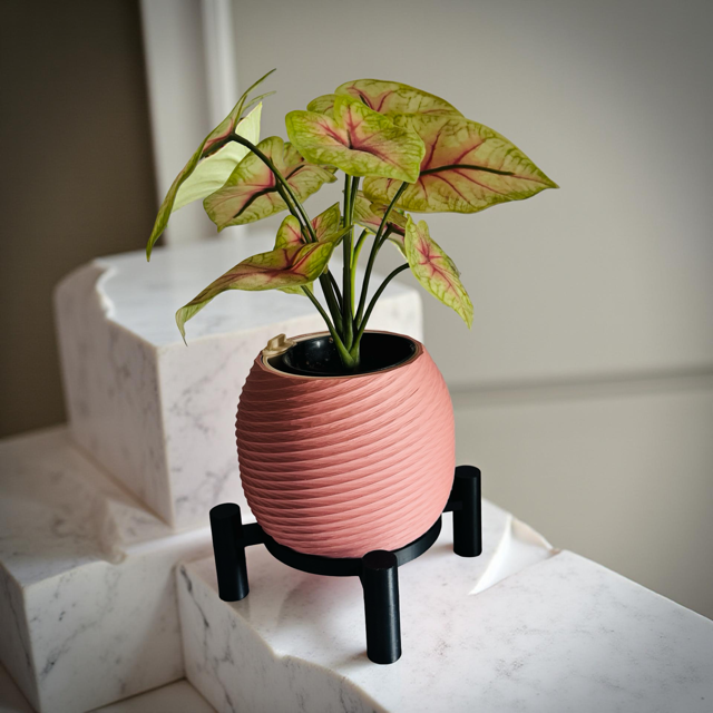 Terracotta Planter with Black Stand