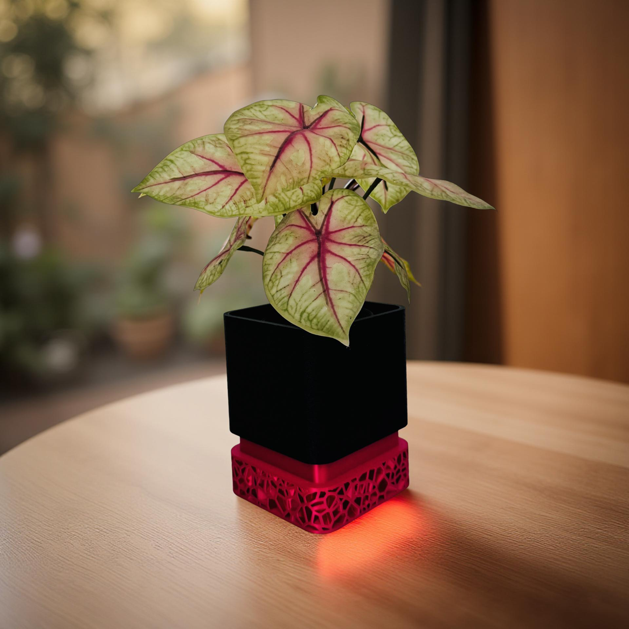 3D Printed Red and Black Square Planter