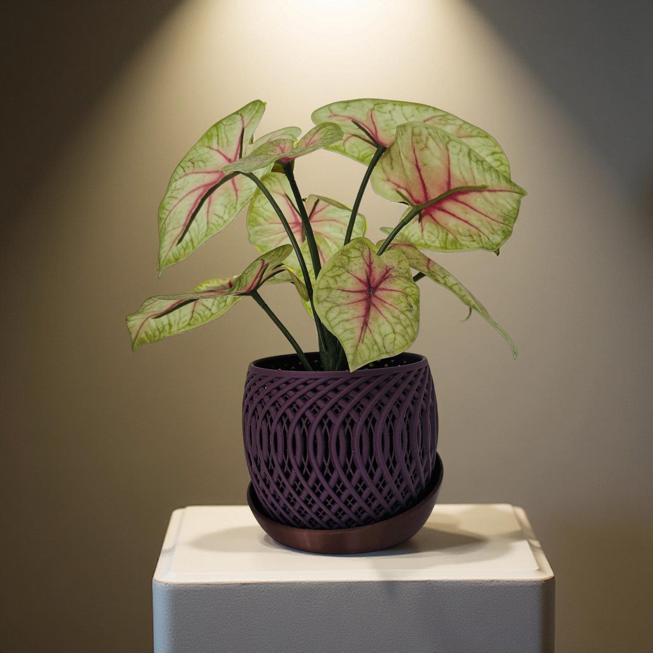 3D Printed Mauve Planter with Copper Base