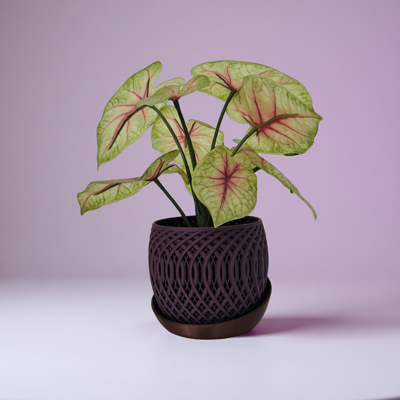 3D Printed Mauve Planter with Copper Base