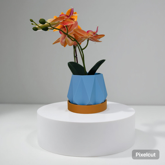 Blue Hexagon Dual Tray Planter