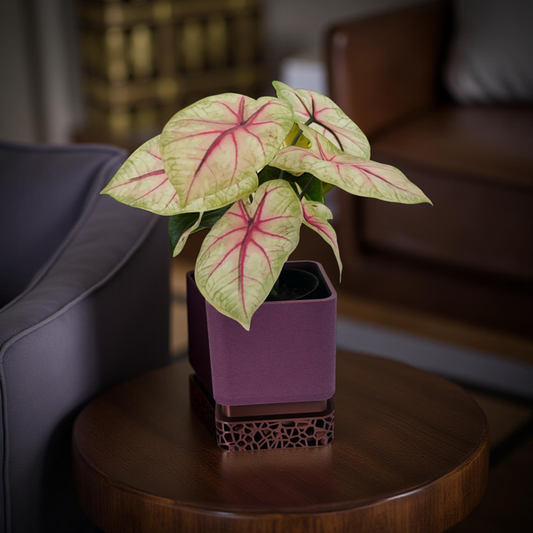 3D Printed Mauve and Copper Square Planter