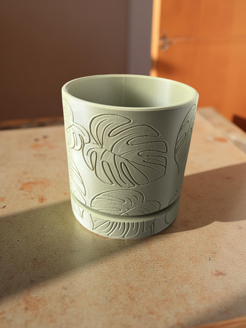 Green Monstera 6 Piece Coaster Set in Light Green Floral Pot