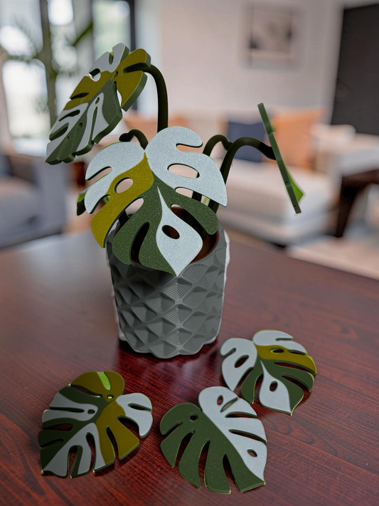 Monstera Coaster Set with Magnetic Holder | 6 Leaf Coasters | Modern decor