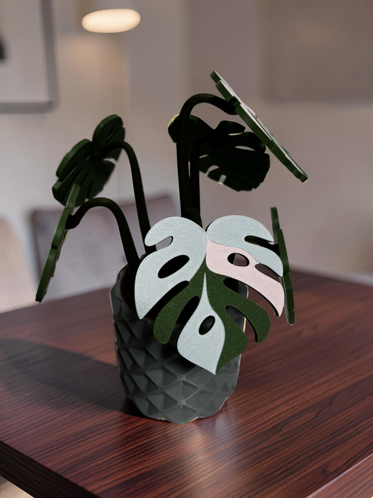 Monstera Coaster Set with Magnetic Holder | 6 Leaf Coasters | Modern decor