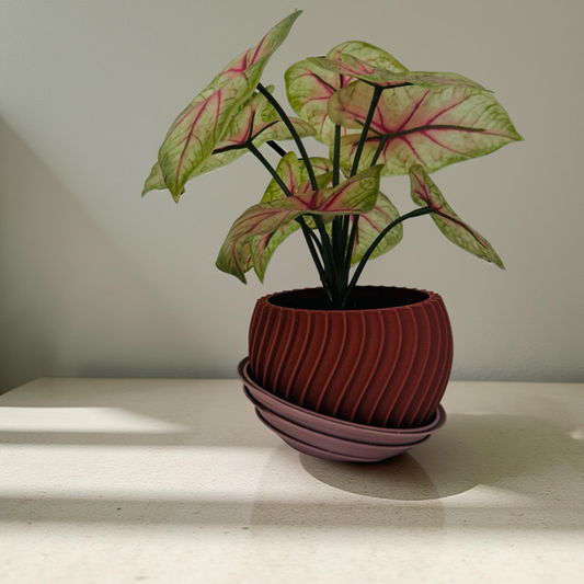 3D Printed Brown Spiral Planter
