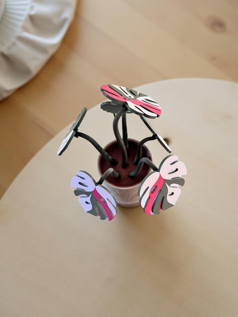 Green Monstera 6 Piece Coaster Set in Light Green Floral Pot